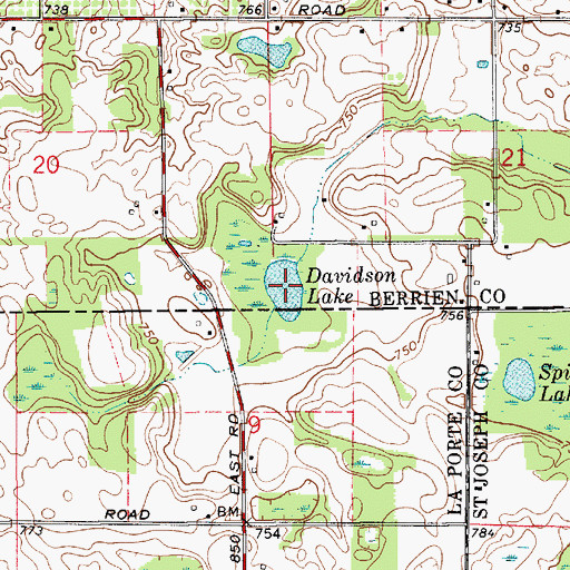 Topographic Map of Davidson Lake, MI