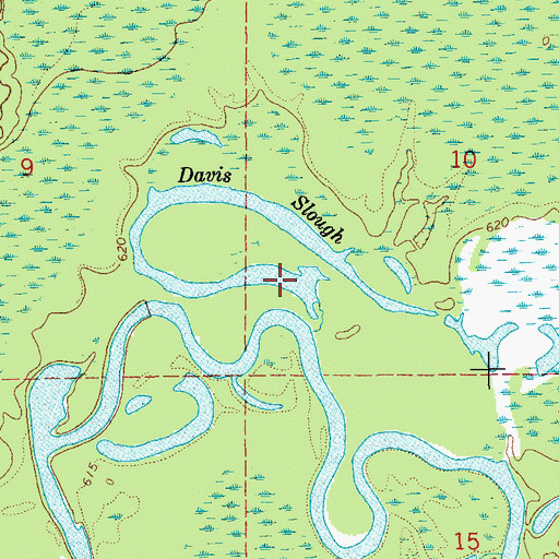 Topographic Map of Davis Slough, MI