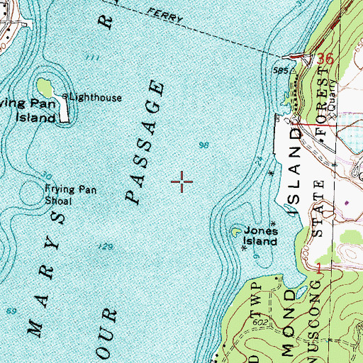 Topographic Map of De Tour Passage, MI