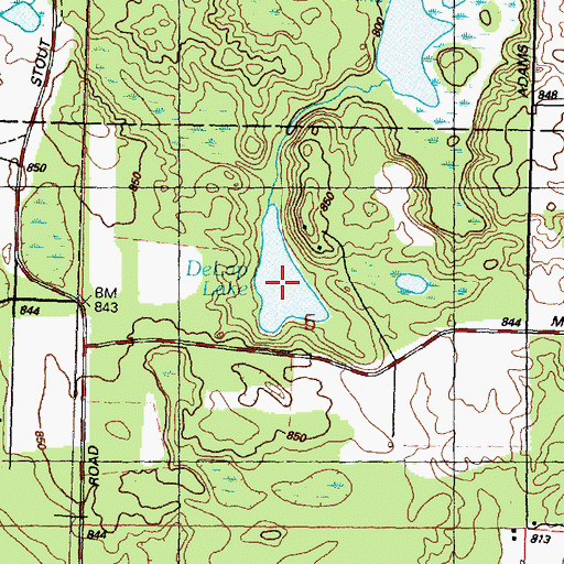 Topographic Map of DeLap Lake, MI