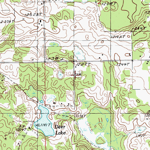 Topographic Map of Deer Lake, MI