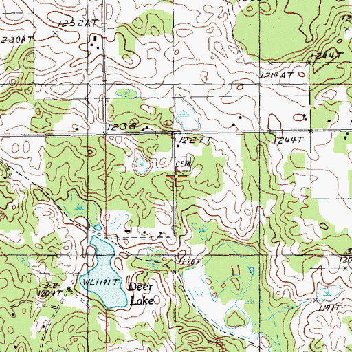 Topographic Map of Deer Lake Cemetery, MI