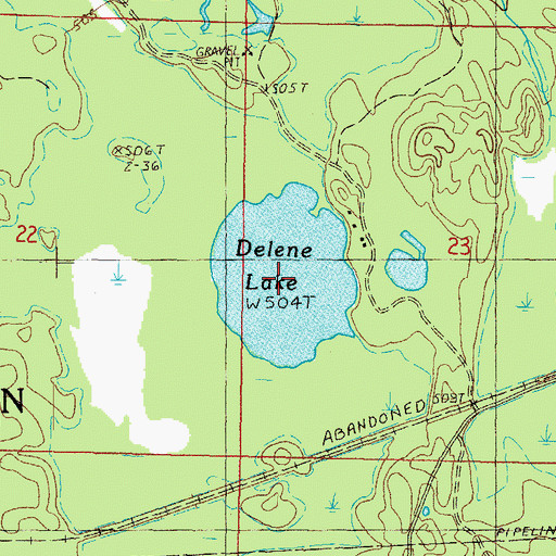 Topographic Map of Delene Lake, MI