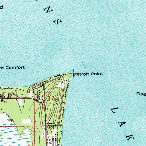Topographic Map of Detroit Point, MI