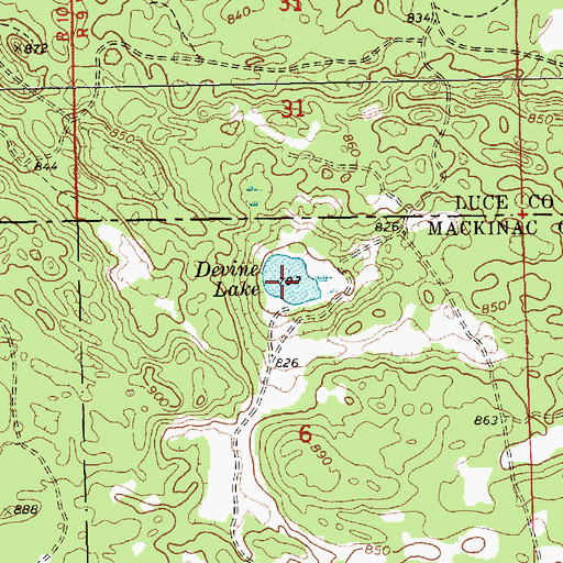 Topographic Map of Devine Lake, MI