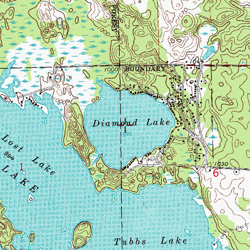 Topographic Map of Diamond Lake, MI