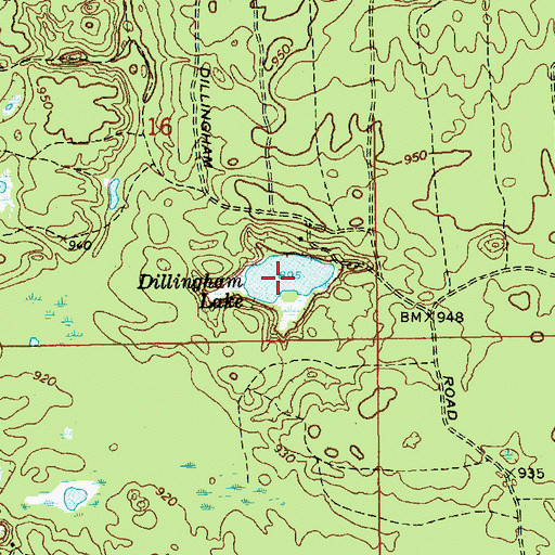 Topographic Map of Dillingham Lake, MI