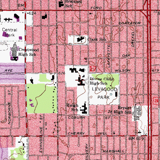 Topographic Map of Divine Child High School, MI