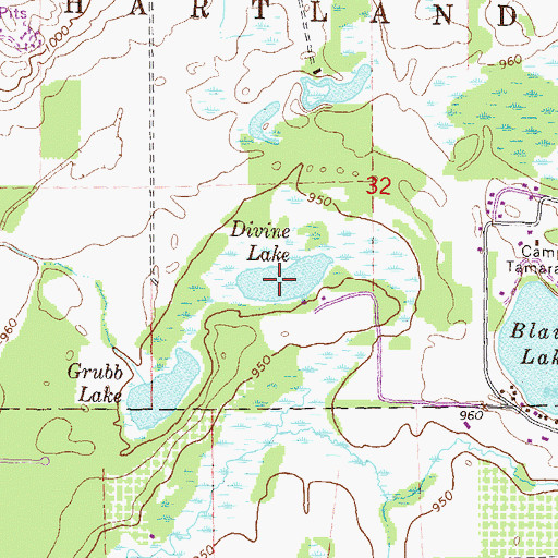 Topographic Map of Divine Lake, MI