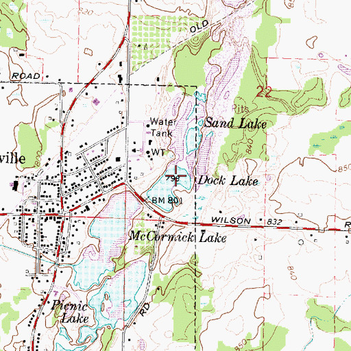 Topographic Map of Dock Lake, MI