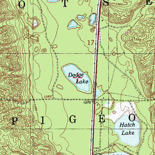 Topographic Map of Dodge Lake, MI