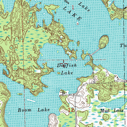 Topographic Map of Dogfish Lake, MI