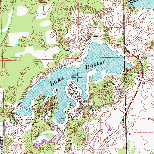 Topographic Map of Lake Doster, MI