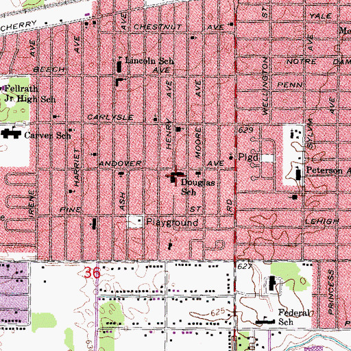 Topographic Map of Douglas School, MI