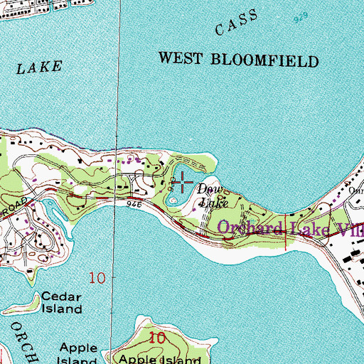Topographic Map of Dow Lake, MI