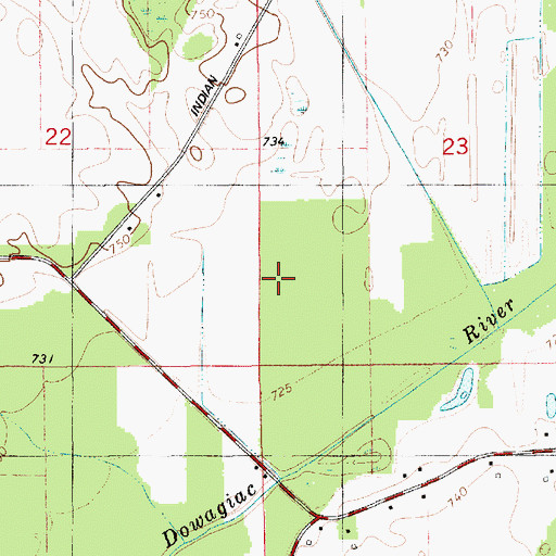 Topographic Map of Dowagiac Swamp, MI