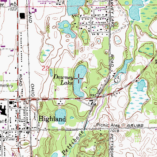 Topographic Map of Downey Lake, MI