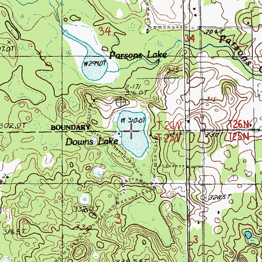 Topographic Map of Downs Lake, MI