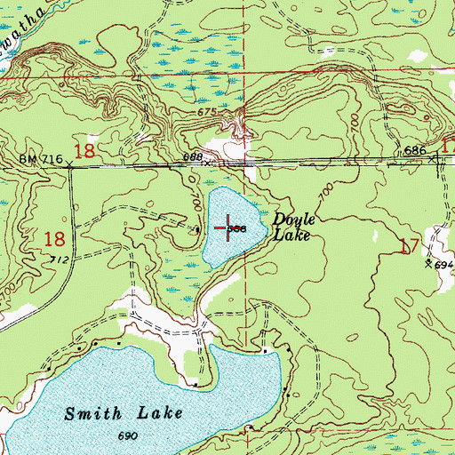 Topographic Map of Doyle Lake, MI