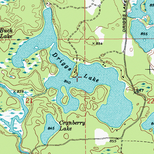 Topographic Map of Driggs Lake, MI