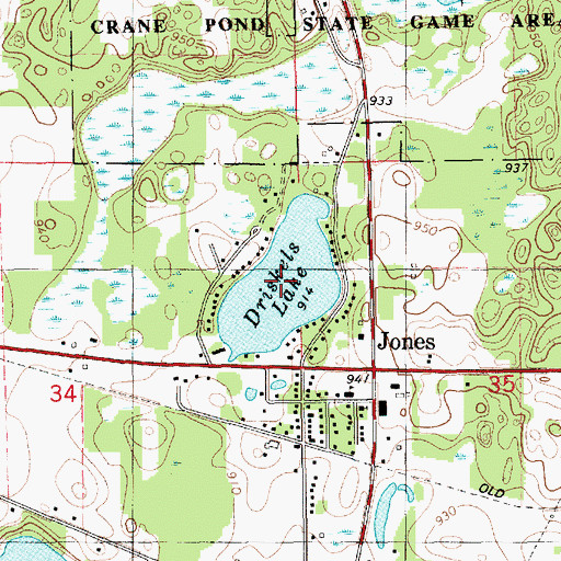 Topographic Map of Driskels Lake, MI