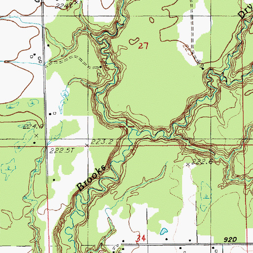 Topographic Map of Dry Run, MI