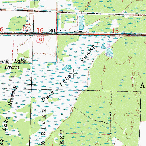 Topographic Map of Duck Lake Swamp, MI