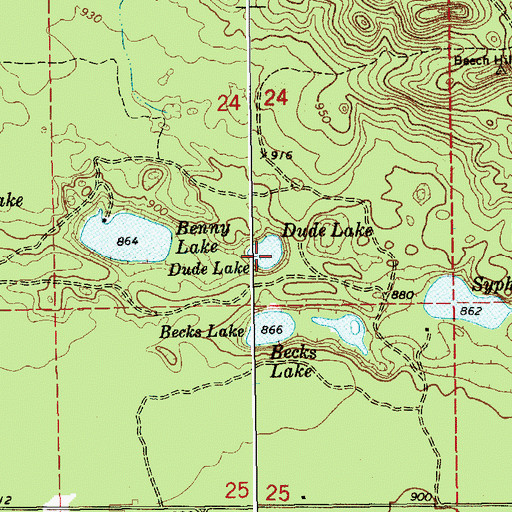 Topographic Map of Dude Lake, MI
