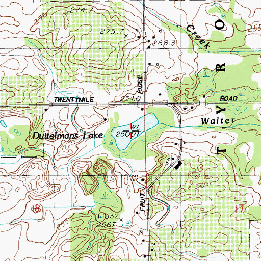 Topographic Map of Duitelmans Lake, MI