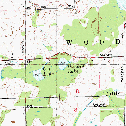 Topographic Map of Duncan Lake, MI