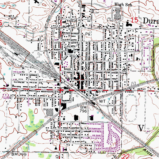 Topographic Map of Durand, MI