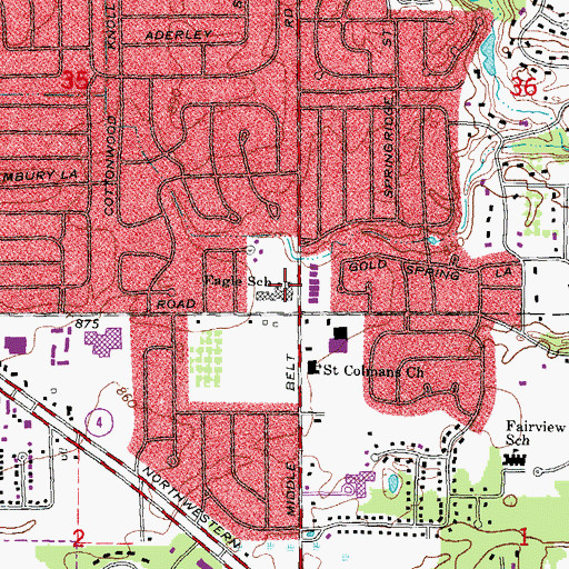 Topographic Map of Eagle School, MI