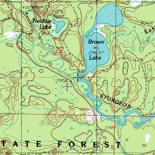 Topographic Map of East Branch Sturgeon River, MI