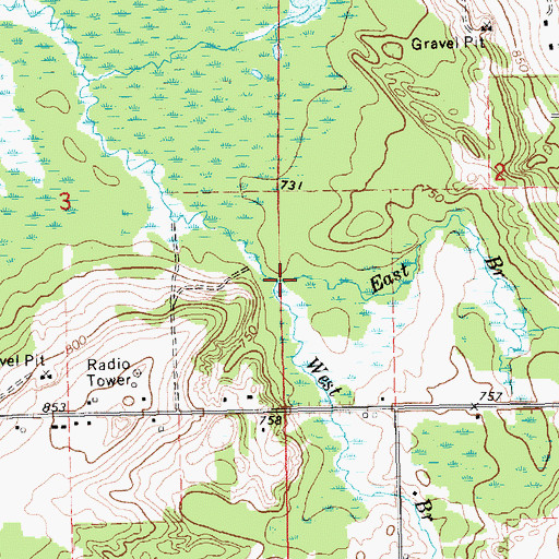 Topographic Map of East Branch Teaspoon Creek, MI