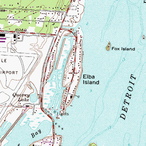 Topographic Map of Elba Island, MI