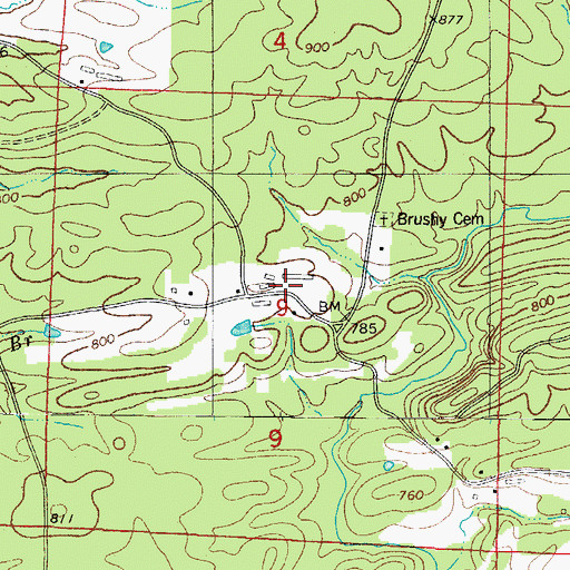Topographic Map of Brushy (historical), AR