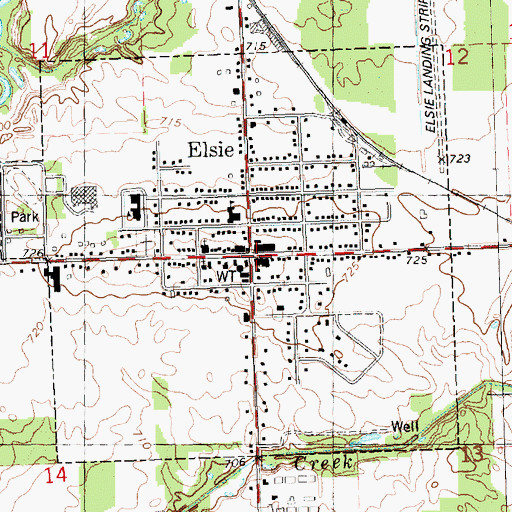 Topographic Map of Elsie, MI