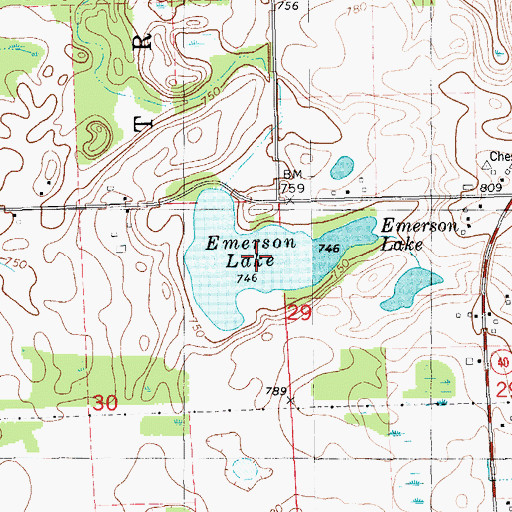Topographic Map of Emerson Lake, MI