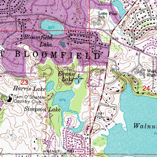 Topographic Map of Evans Lake, MI