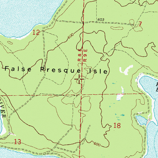 Topographic Map of False Presque Isle, MI