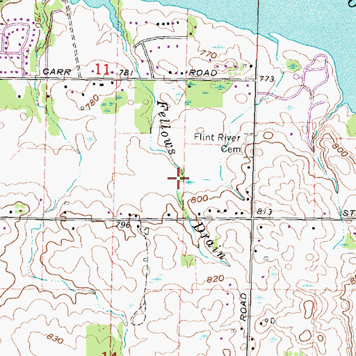 Topographic Map of Fellews Drain, MI