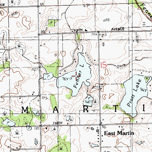Topographic Map of Fenner Lake, MI