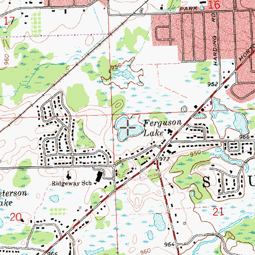 Topographic Map of Ferguson Lake, MI