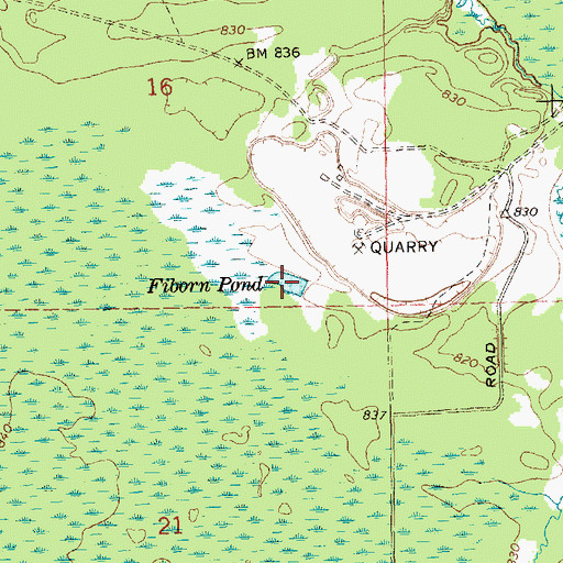 Topographic Map of Fiborn Pond, MI