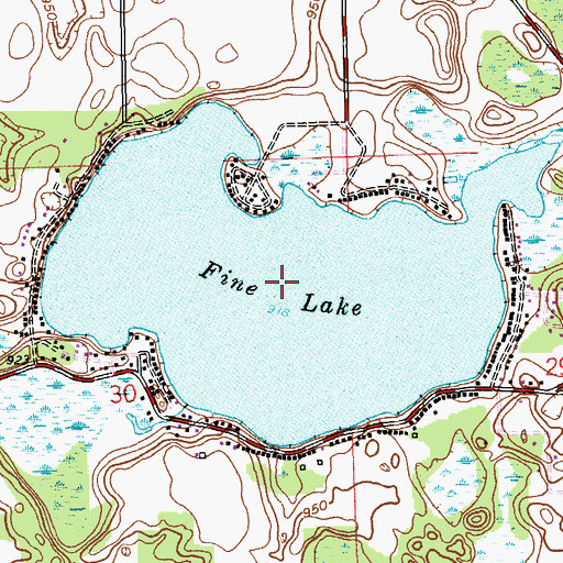Topographic Map of Fine Lake, MI