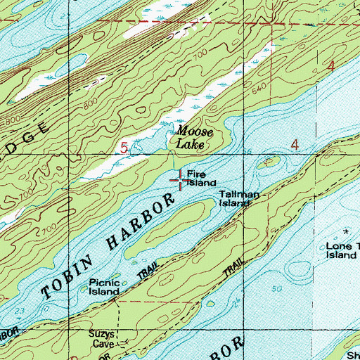 Topographic Map of Fire Island, MI