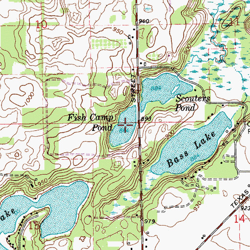 Topographic Map of Fish Camp Pond, MI