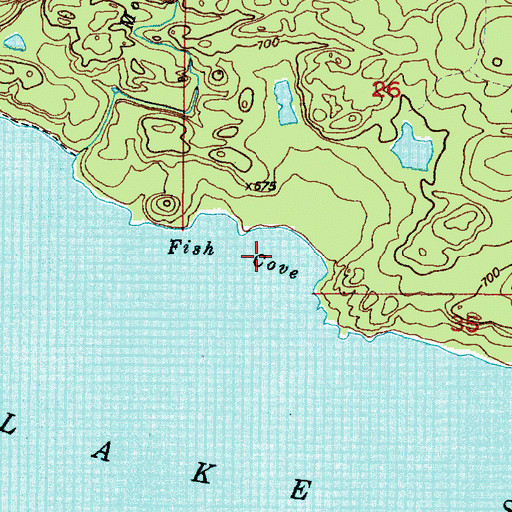 Topographic Map of Fish Cove, MI
