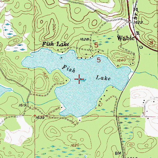 Topographic Map of Fish Lake, MI