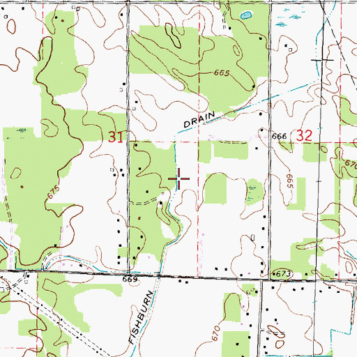 Topographic Map of Fishburn Drain, MI